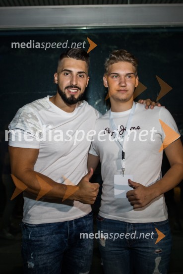  Challe Salle, glasbenik;  ... Europarkov koncert leta: Challe Salle in Perpetuum Jazzile