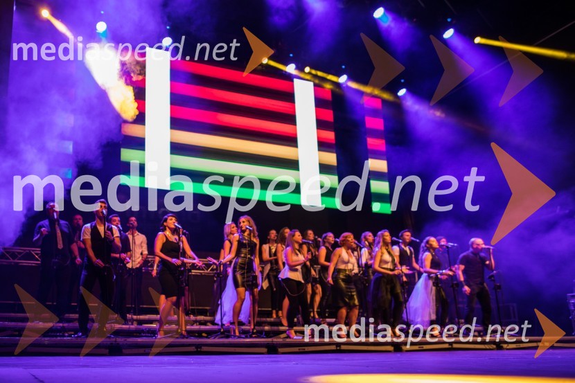 svetovno znani slovenski a capella zbor Perpetuum JazzileEuroparkov koncert leta: Challe Salle in Perpetuum Jazzile