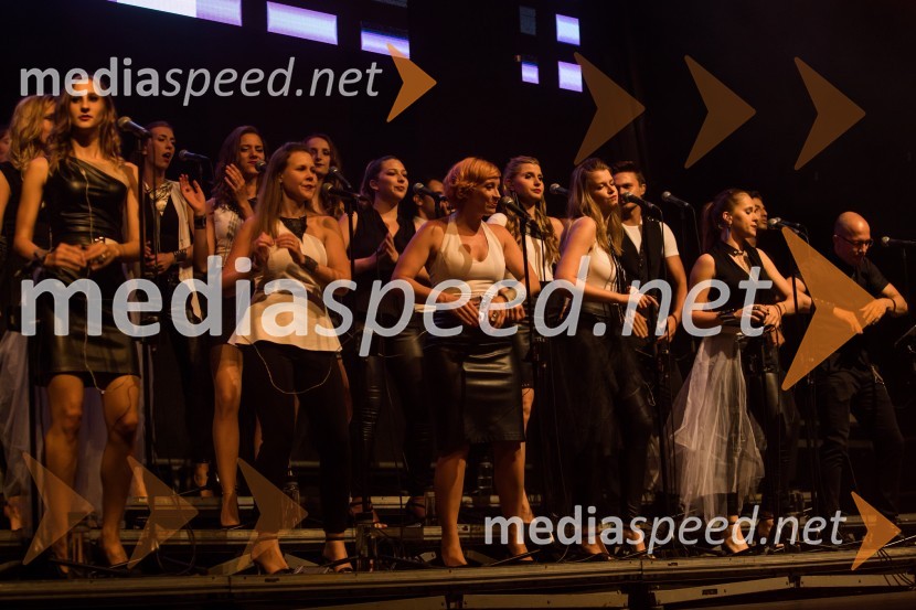 svetovno znani slovenski a capella zbor Perpetuum JazzileEuroparkov koncert leta: Challe Salle in Perpetuum Jazzile