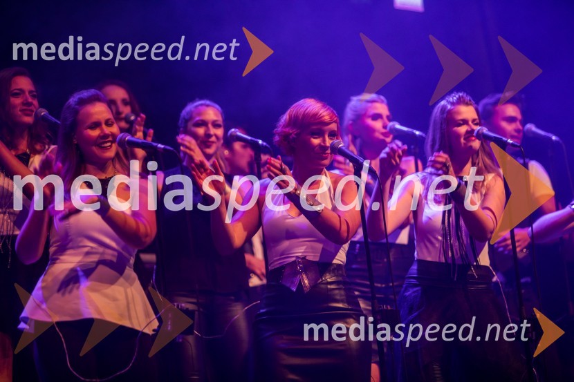 Europarkov koncert leta: Challe Salle in Perpetuum Jazzile