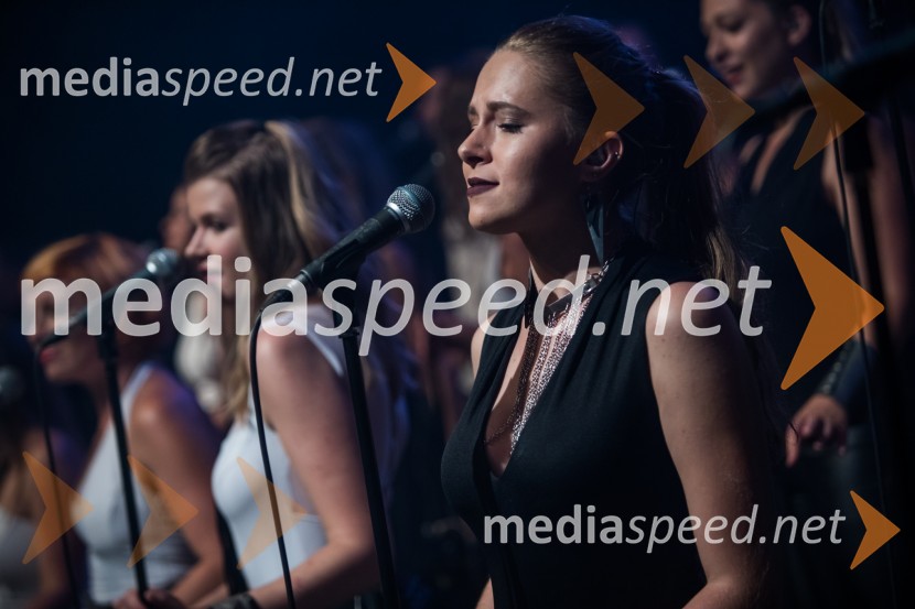 Europarkov koncert leta: Challe Salle in Perpetuum Jazzile