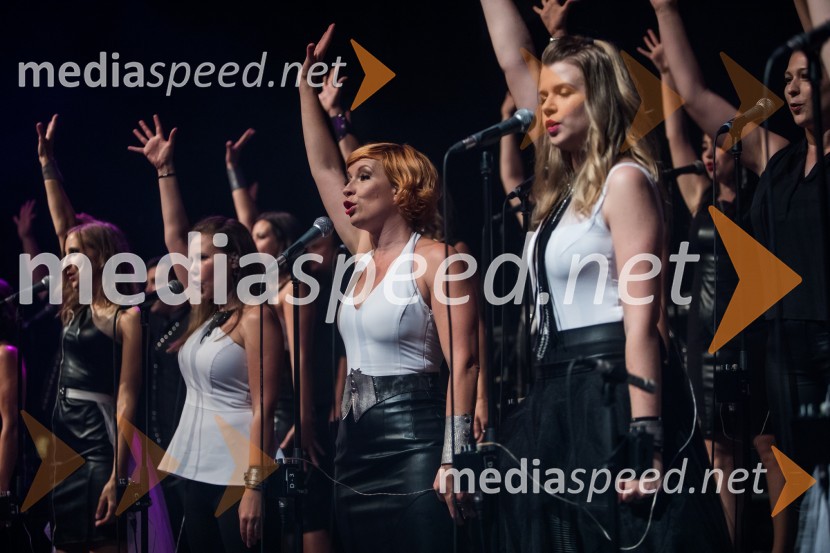 Europarkov koncert leta: Challe Salle in Perpetuum Jazzile