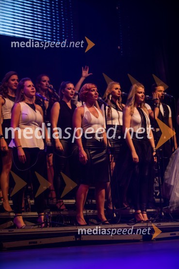 Europarkov koncert leta: Challe Salle in Perpetuum Jazzile