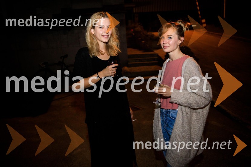 Jaz, umetnik. Jaz, državljan., predstavitev 63. sezone SMG