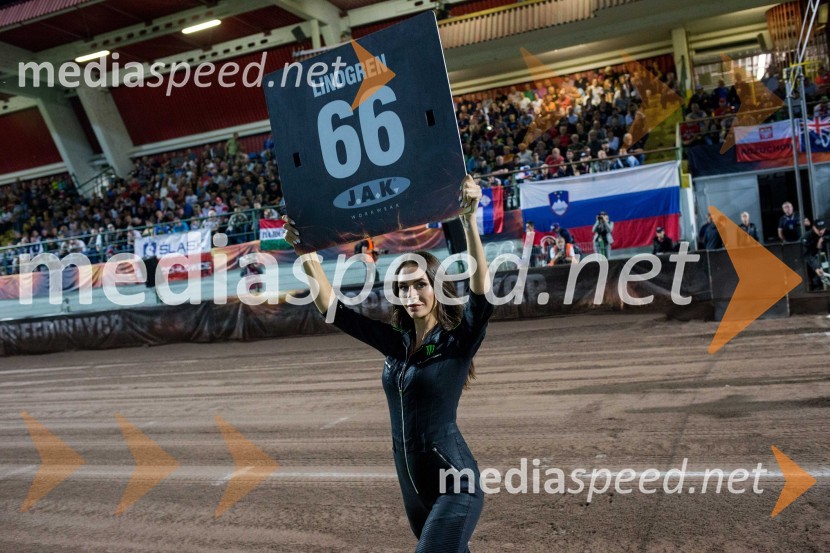 VN Slovenije Poljaku Dudku, Slovenci srčno, a brez točk