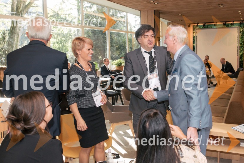 dr. Aleksandra Pivec, državna sekretarka v kabinetu ministra na Uradu Vlade RS za Slovence v zamejstvu in po svetu, predsednica MO DeSUS Ptuj; dr. Vlado Dimovski, Ekonomska fakulteta Ljubljana;  Gorazd Žmavc, minister brez listnice na uradu za Slovence v zamejstvu in po svetu13. Strateški Forum, otvoritev