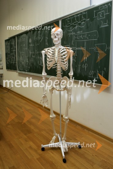 Medicinska fakulteta, Univerza v MariboruMaribor, Slovenija