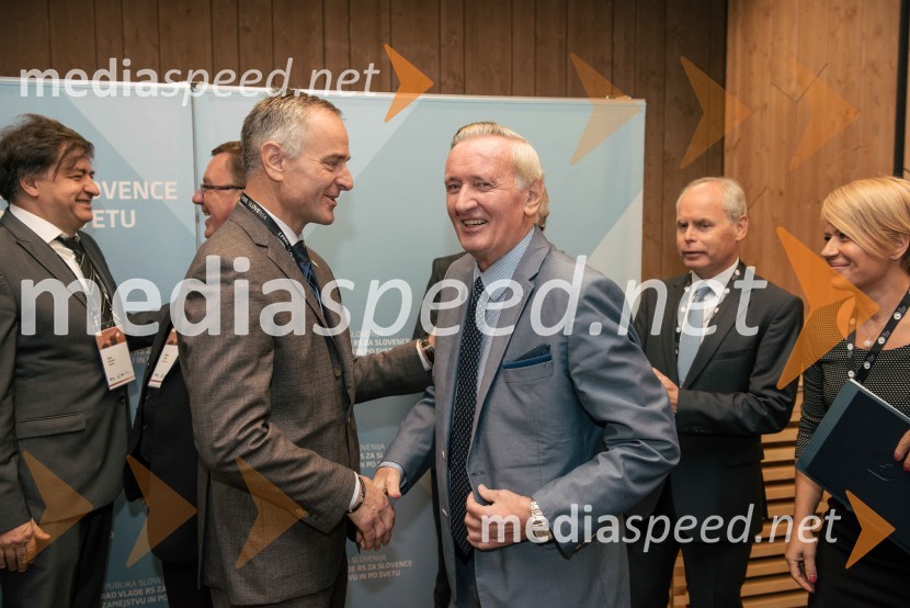 dr. Vlado Dimovski, Ekonomska fakulteta Ljubljana;  ... ;  Gorazd Žmavc, minister brez listnice na uradu za Slovence v zamejstvu in po svetu;  Milan Predan, slovenski generalni konzul v Celovcu; dr. Aleksandra Pivec, državna sekretarka v kabinetu ministra na Uradu Vlade RS za Slovence v zamejstvu in po svetu, predsednica MO DeSUS Ptuj13. Strateški Forum, otvoritev