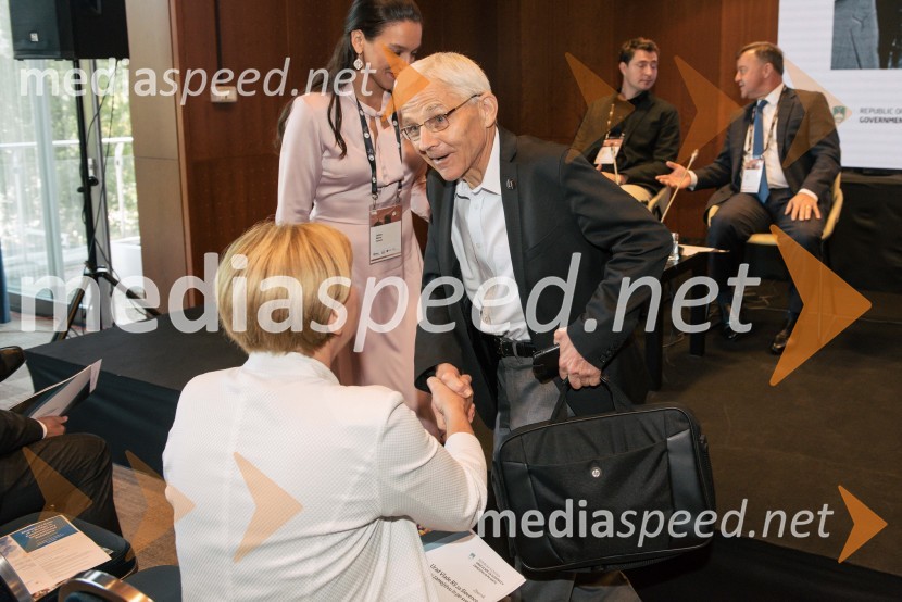  Ljudmila Novak, političarka;  Tone Peršak, minister za kulturo13. Strateški Forum, otvoritev