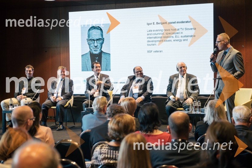  Blaž Tomc Zidar, Društvo v tujini izobraženih Slovencev VTIS, član upravnega odbora;  John  Doma, častni konzul Republike Slovenije;  Zvone Žigon, Urad Vlade Republike Slovenije za Slovence v zamejstvu in po svetu;  Raymond  Xerri, politik;  Terens – Nikolaos  Quick, novinar in politik;  Igor Evgen Bergant, novinar in TV voditelj13. Strateški Forum, otvoritev