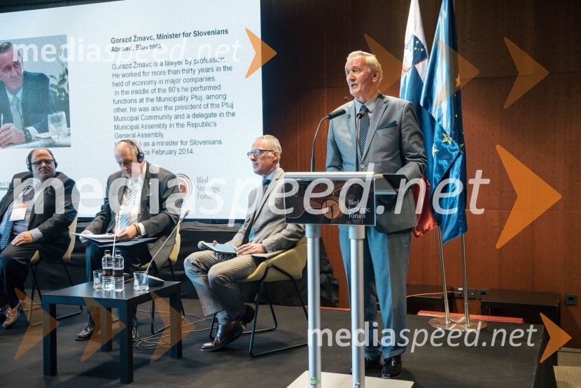  Gorazd Žmavc, minister brez listnice na uradu za Slovence v zamejstvu in po svetu13. Strateški Forum, otvoritev