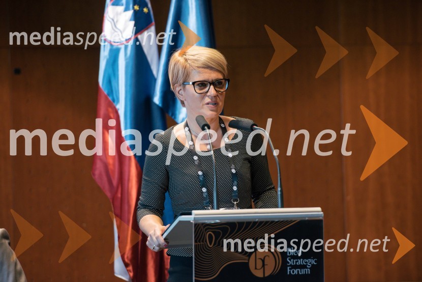 dr. Aleksandra Pivec, državna sekretarka v kabinetu ministra na Uradu Vlade RS za Slovence v zamejstvu in po svetu, predsednica MO DeSUS Ptuj13. Strateški Forum, otvoritev