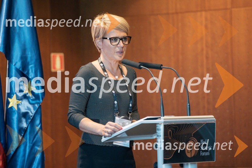 dr. Aleksandra Pivec, državna sekretarka v kabinetu ministra na Uradu Vlade RS za Slovence v zamejstvu in po svetu, predsednica MO DeSUS Ptuj13. Strateški Forum, otvoritev
