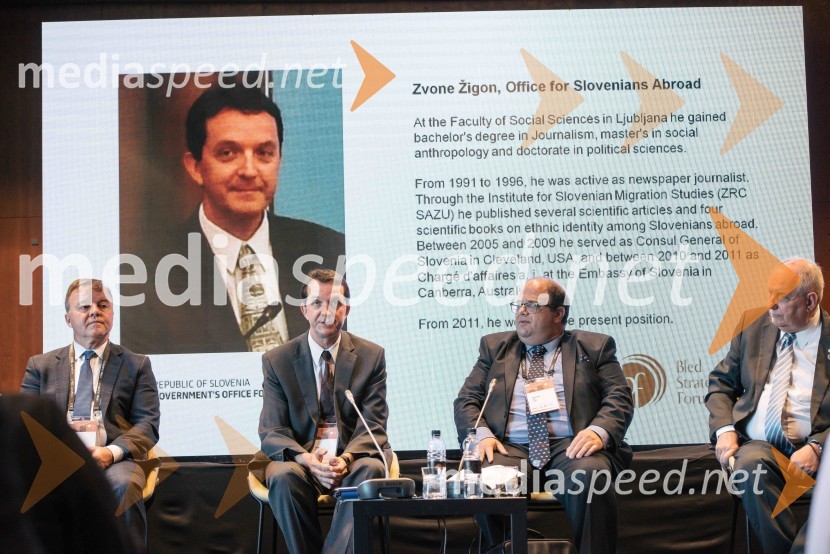 John  Doma, častni konzul Republike Slovenije;  Zvone Žigon, Urad Vlade Republike Slovenije za Slovence v zamejstvu in po svetu;  Raymond  Xerri, politik;  Terens – Nikolaos  Quick, novinar in politik13. Strateški Forum, otvoritev