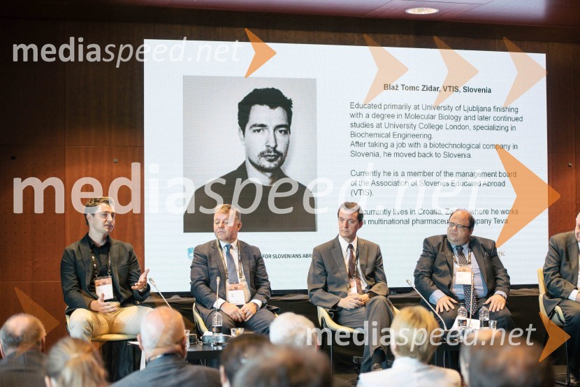  Blaž Tomc Zidar, Društvo v tujini izobraženih Slovencev VTIS, član upravnega odbora;  John  Doma, častni konzul Republike Slovenije;  Zvone Žigon, Urad Vlade Republike Slovenije za Slovence v zamejstvu in po svetu;  Raymond  Xerri, politik13. Strateški Forum, otvoritev