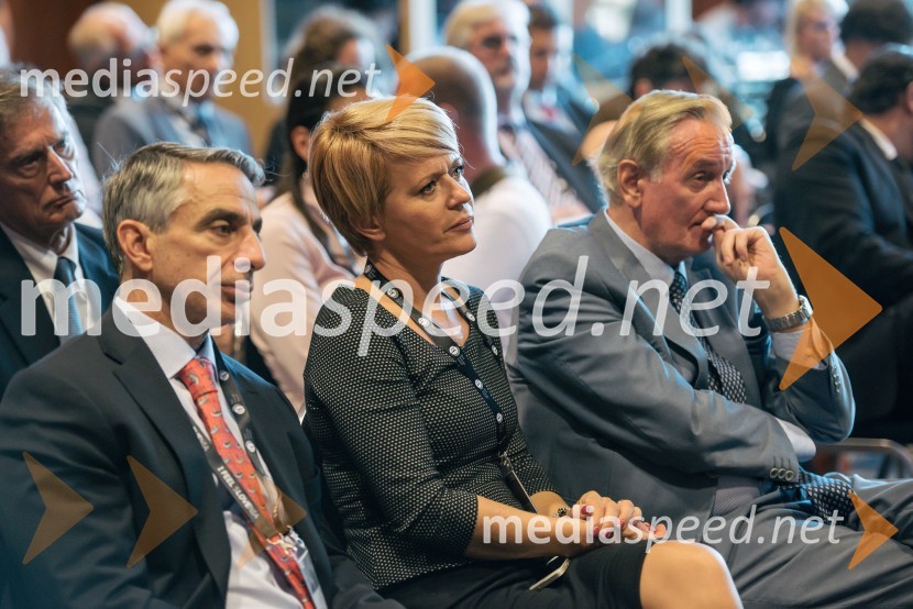  Nicolas Protonotarios, grški veleposlanik v Sloveniji; dr. Aleksandra Pivec, državna sekretarka v kabinetu ministra na Uradu Vlade RS za Slovence v zamejstvu in po svetu, predsednica MO DeSUS Ptuj;  Gorazd Žmavc, minister brez listnice na uradu za Slovence v zamejstvu in po svetu13. Strateški Forum, otvoritev
