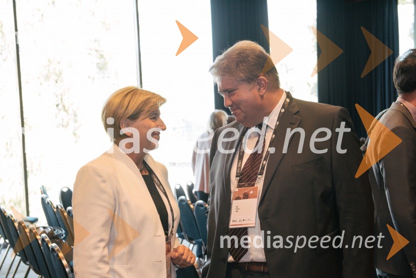  Ljudmila Novak, političarka;  ... 13. Strateški Forum, otvoritev