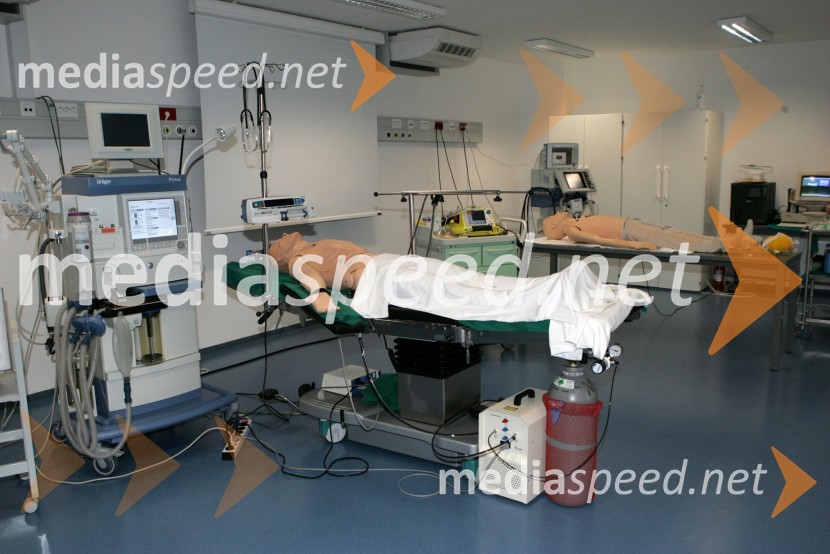 Visoka zdravstvena šola, Univerza v MariboruMaribor, Slovenija