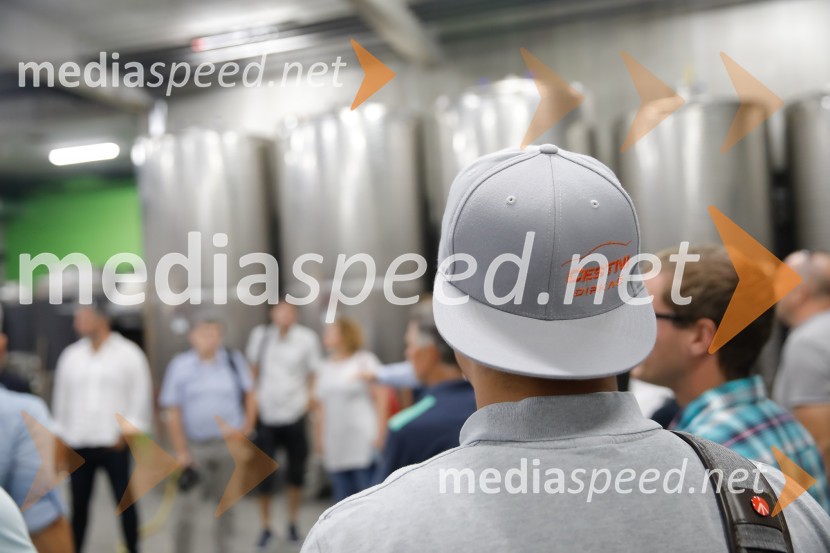 Ford Focus, Slovenska predstavitev