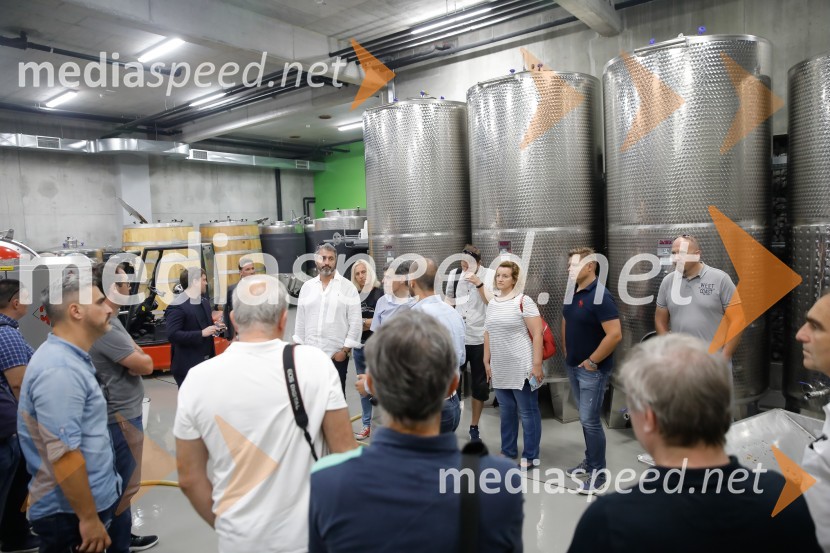 Ford Focus, Slovenska predstavitev