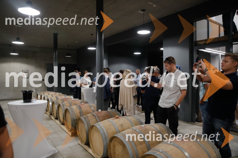 Ford Focus, Slovenska predstavitev