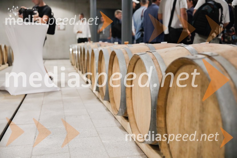 Ford Focus, Slovenska predstavitev