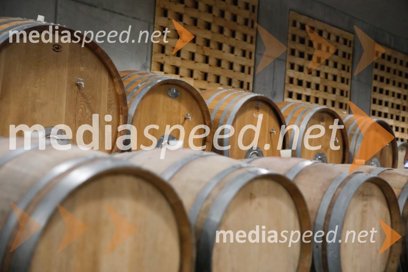 Ford Focus, Slovenska predstavitev