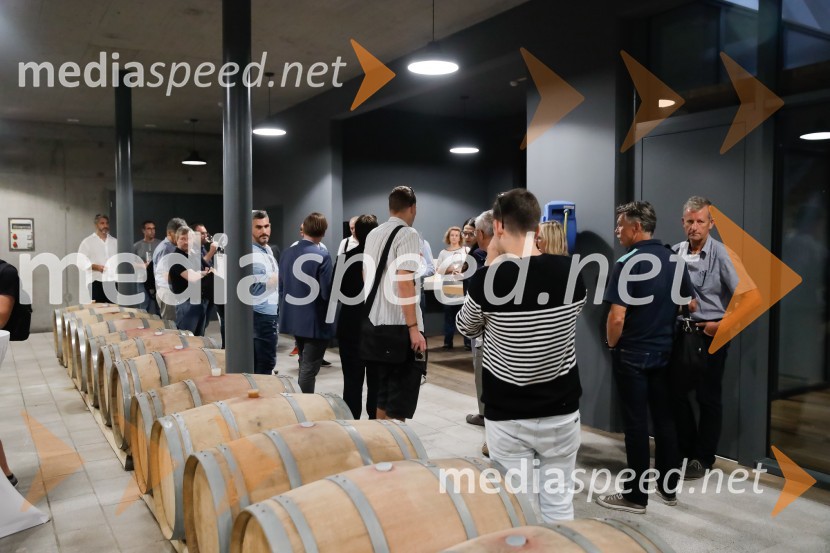 Ford Focus, Slovenska predstavitev