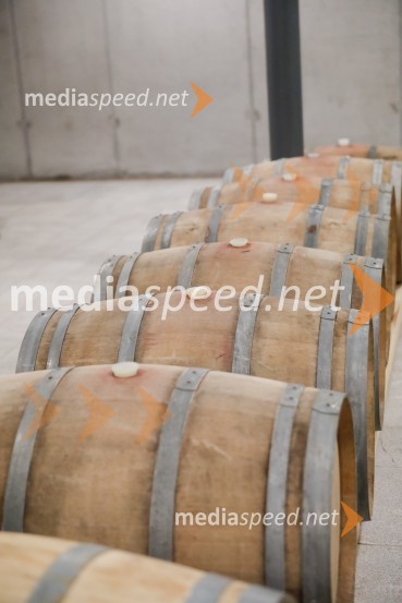 Ford Focus, Slovenska predstavitev