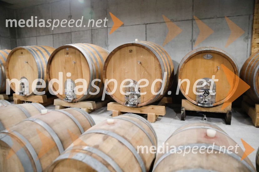 Ford Focus, Slovenska predstavitev