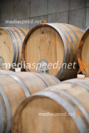 Ford Focus, Slovenska predstavitev