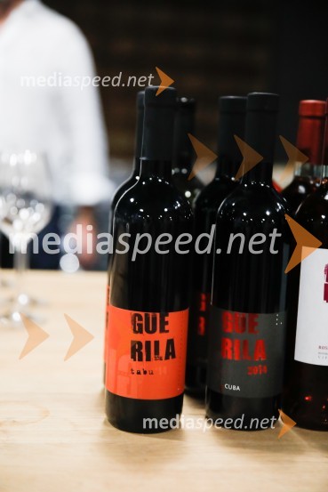 Ford Focus, Slovenska predstavitev