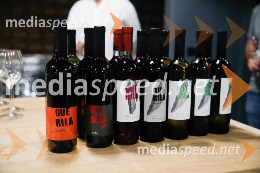 Ford Focus, Slovenska predstavitev