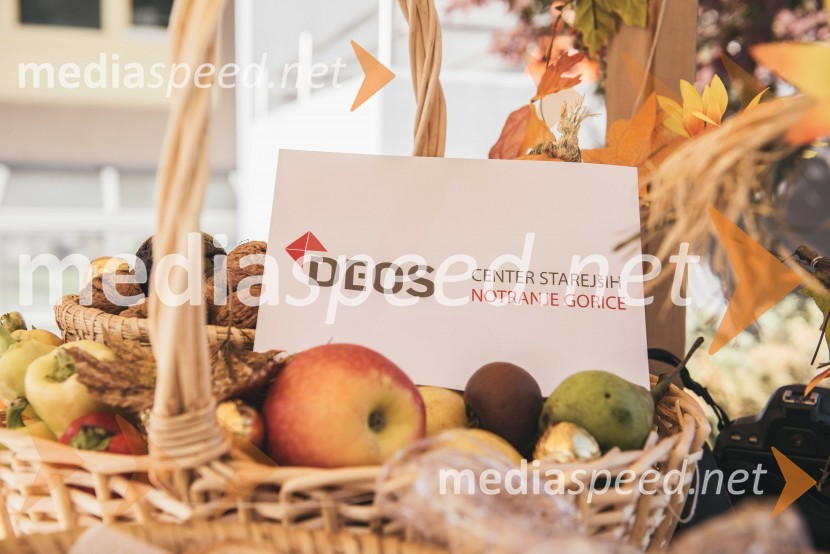 »Mobilnost starejših, z leti gradimo na kvaliteti«, dogodek v centru starejših Medvode»Mobilnost starejših, z leti gradimo na kvaliteti«, dogodek v centru starejših Medvode