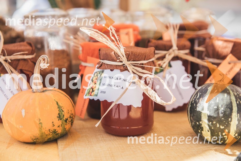 »Mobilnost starejših, z leti gradimo na kvaliteti«, dogodek v centru starejših Medvode»Mobilnost starejših, z leti gradimo na kvaliteti«, dogodek v centru starejših Medvode