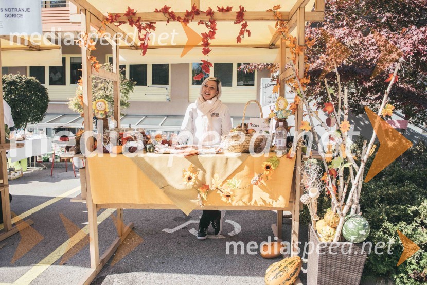 »Mobilnost starejših, z leti gradimo na kvaliteti«, dogodek v centru starejših Medvode