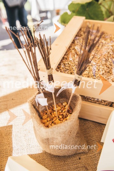 »Mobilnost starejših, z leti gradimo na kvaliteti«, dogodek v centru starejših Medvode»Mobilnost starejših, z leti gradimo na kvaliteti«, dogodek v centru starejših Medvode