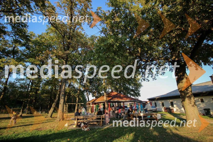 1. Nobilisov piknik, Športno letališče SkokeJesenski piknik, Estetika Nobilis