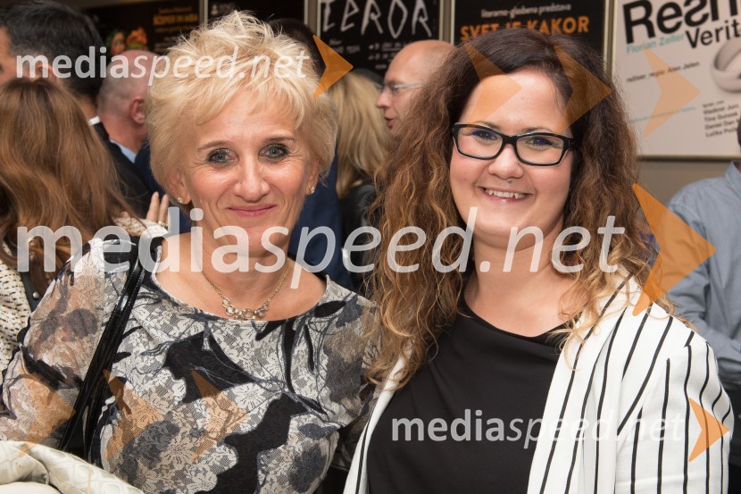 Znana so najuspešnejša Pomurska podjetja leta 2017