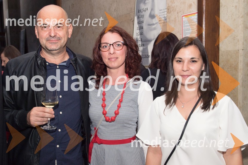 Znana so najuspešnejša Pomurska podjetja leta 2017