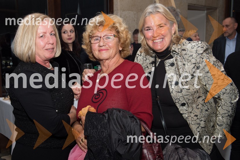 Znana so najuspešnejša Pomurska podjetja leta 2017