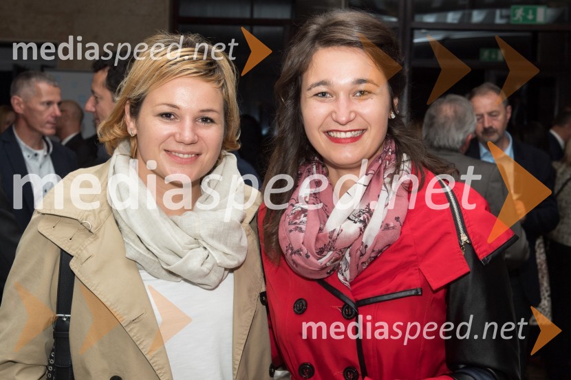 Znana so najuspešnejša Pomurska podjetja leta 2017