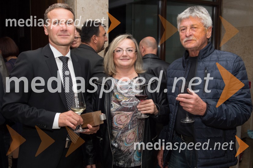 Znana so najuspešnejša Pomurska podjetja leta 2017