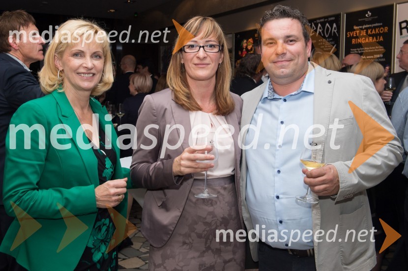 Znana so najuspešnejša Pomurska podjetja leta 2017