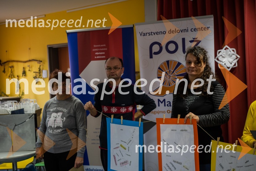 Predstavitev projekta Vključujemo in aktiviramo