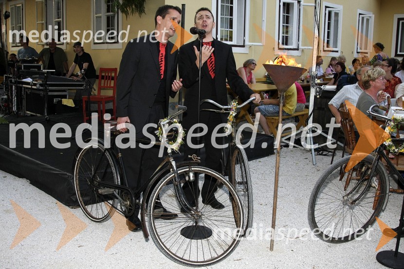 Glasbena skupina Same babePodelitev nagrad kresnik 2008