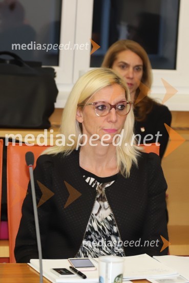 Konstitutivna seja Mestnega sveta MO Maribor