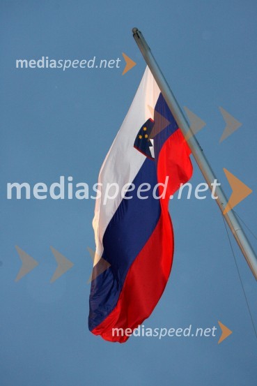 Zastava Republike SlovenijeProslava ob Dnevu državnosti 2008