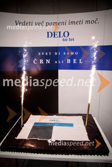 Delo 60 let