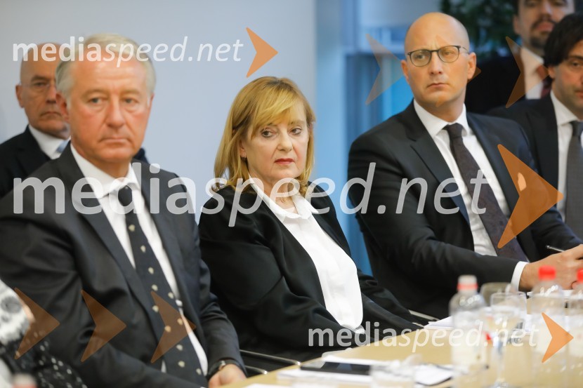 Srečanje članov slovenskega konzularnega zbora z ministrom Počivalškom